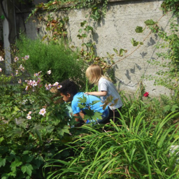 im Garten